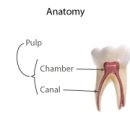 메이동물병원 이미지