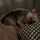 동네방네수산포차 | 강원도 양양, 속초 2박 3일 여행 후기!