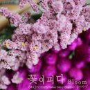 꽃피다Bloom 이미지