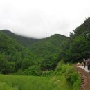 산수리농장 이미지