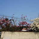 본마을 버스정류장 삼거리 이미지