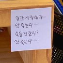 용인대방교태권도장 | 용인대 날 뽑아라