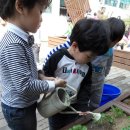 세진어린이집 이미지