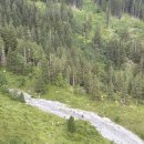 동신세탁 | 스위스 여행의 하이라이트 융프라우 | 얼음궁전 | 동신항운 신라면 | SKT 무료 커피 쿠폰 | 융프라우...