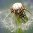 율량초등학교 이미지