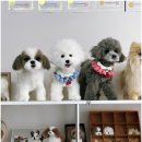 멍케이크 이미지