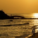 금빛바다 이미지