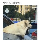 준디테일링 네이버블로그