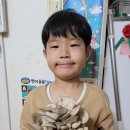 세준농장 이미지