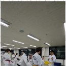 정원태권도 이미지