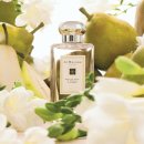 Jo Malone london 조말론 유명 향수 이미지