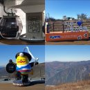 스위트카 | 정선 파크로쉬 근처 가리왕산 케이블카 요금 할인 &amp; 포토존 꿀팁 총정리