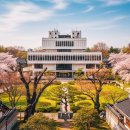 사랑이꽃피는작은도서관 | 🌸 서울 종로구 "화동, '꽃 피는 마을'의 낭만과 정독도서관이 품은 '북촌의 지성'"