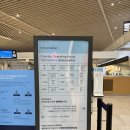 842 | KE842 칭다오에서 인천 대한항공 기내식 후기 칭다오 공항 맛집