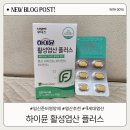 헬스플러스약국 | 임신준비 엽산 고민 끝 하이뮨 활성엽산 플러스 솔직 후기
