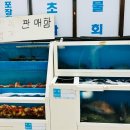 동어담