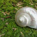 진주약국 이미지