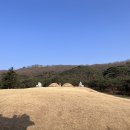 인헌약품 이미지