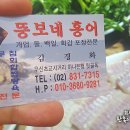 뚱보네홍어