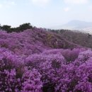 고려산 민박 이미지