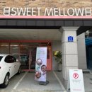 스윗멜로우(SWEET MELLOW)