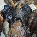 화진농장 이미지