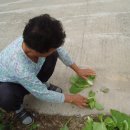 학림경로당 이미지