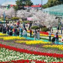 코리아플라워파크 이미지