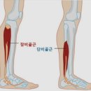 번 피트니스 이미지