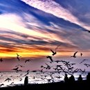 새벽바다 이미지