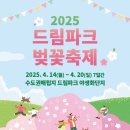 드림파크 이미지