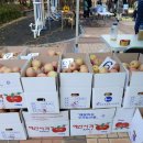 가양1동주민센터 이미지