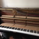 미주3차크리닝 | 평택시 이충동 미주3차 아파트 조율 크리닝 후기