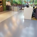 하이댕댕 이미지