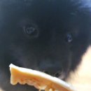 더야무지개 이미지