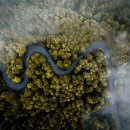 표현하는 즐거움+ 유화 이미지