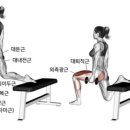 핑운동