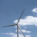 세양목장 이미지