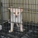 대명5동 주민센터 이미지