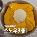스노우제이 | 세부 제이파크 망고빙수｜스노우카페 생망고빙수 내돈내산