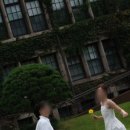 맨드리스냅