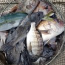 드림펜션1 이미지