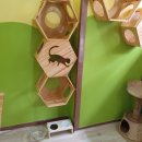 달빛고양이 이미지