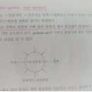 자연발화에서 주위로 부터의 입열이란? 이미지