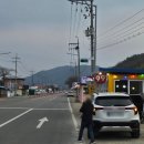 6번마트 | 대구 근교 고령 딸기 직판장 6번 내돈내산 후기