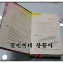 성경 세탁 이미지