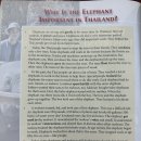 UNIT 18. Why Is the Elephant Important In Thailand? 이미지