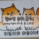 야옹마켓 | 히동이와 야옹이네 릴리 주식캔 이벤트 급여 후기!