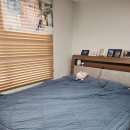 1439 | 에이스침대 BRA-1439-T 4년 사용후기