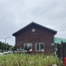 망상제2캠핑장 | [망상제2오토캠핑장 후기] 바다 앞 감성 캠핑장, 냉장고+넓은 데크+샤워실까지 완벽✨